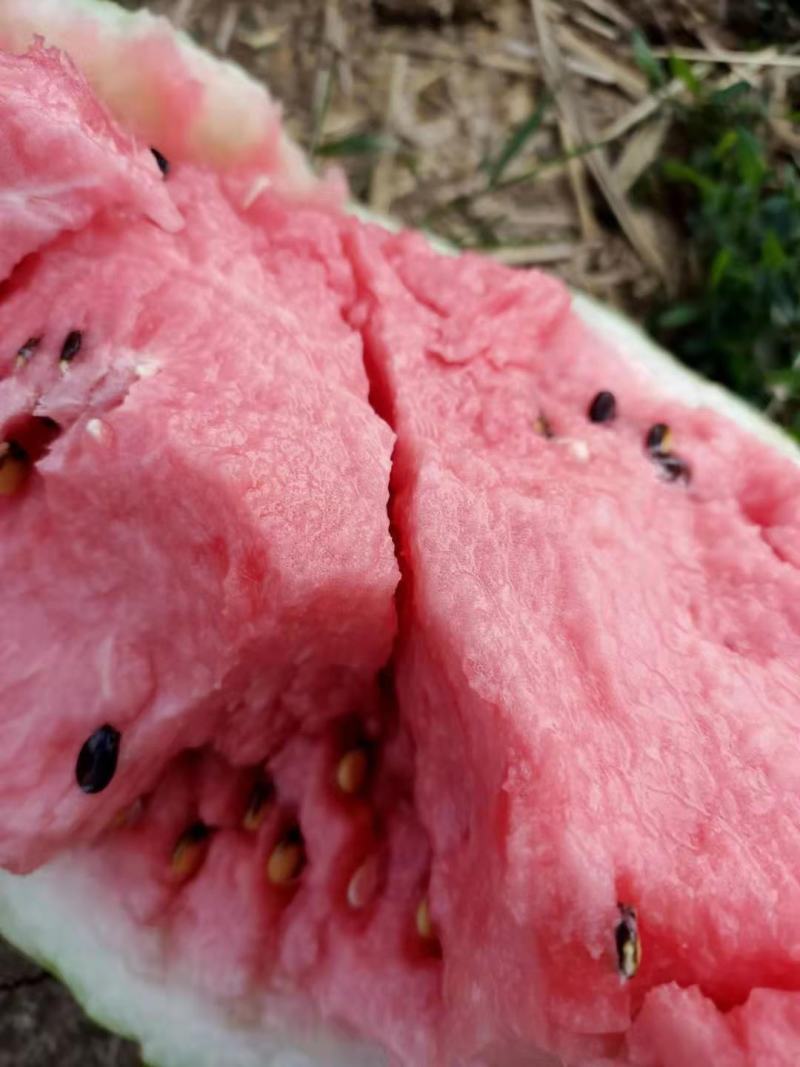 西瓜