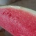 湖北精品西瓜，量大从优，可视频看货，欢迎咨询