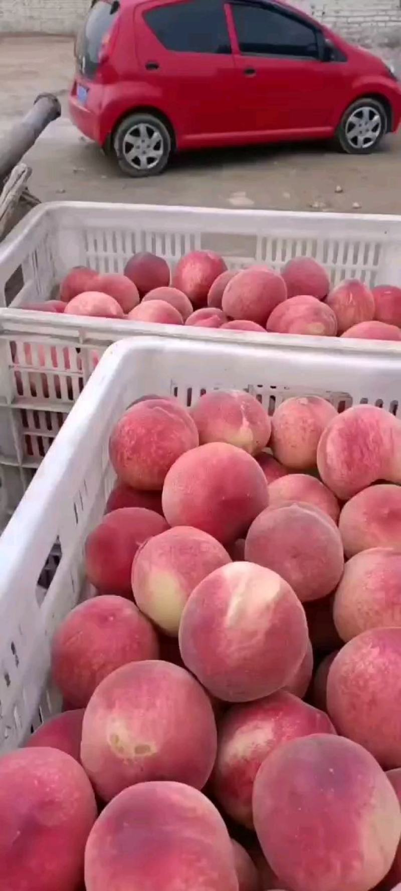 突围套大量有货价格便宜大量有货，产地直供