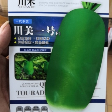 川美一号，一代杂交青头萝卜种子，青皮绿肉表面光滑，口感甜