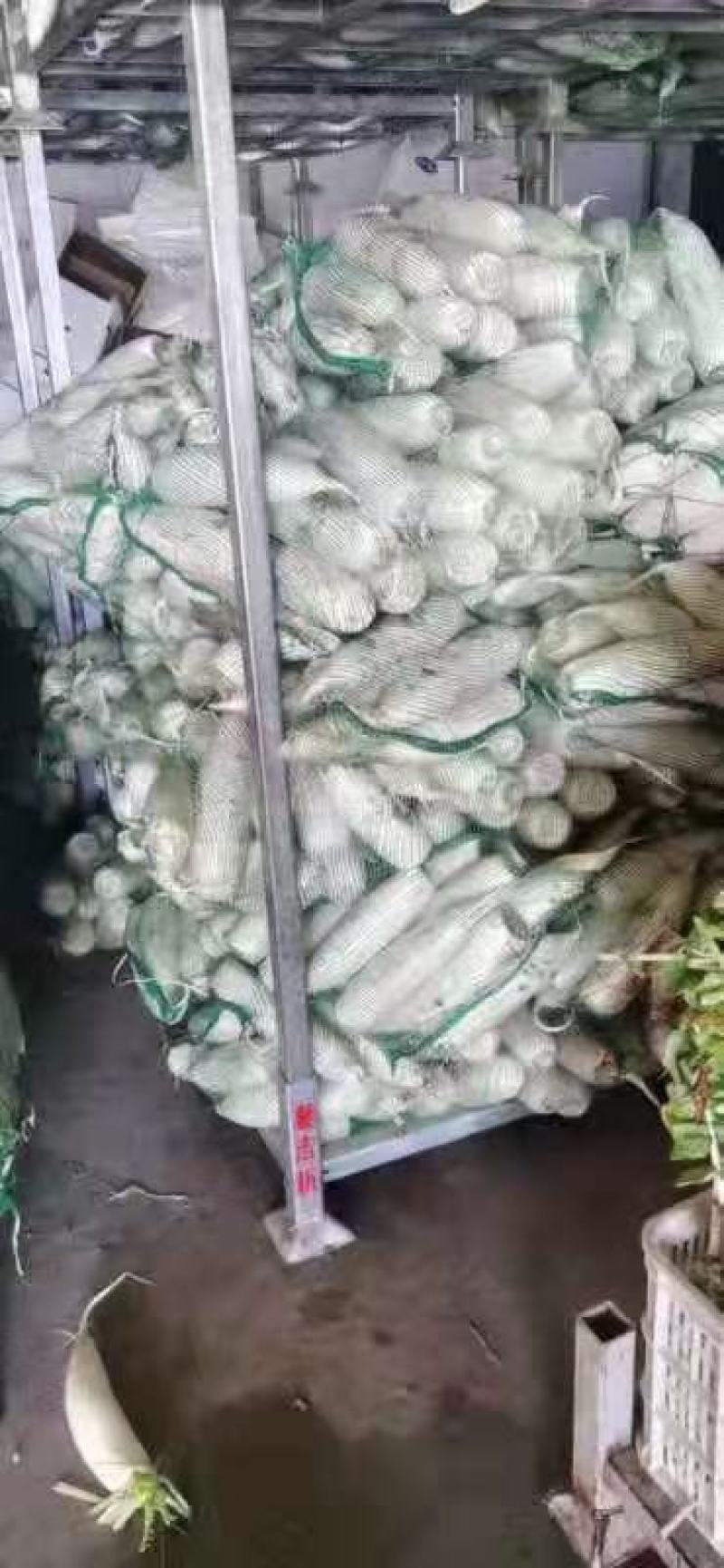 加工厂，养殖用白萝卜，大量现货，价格便宜
