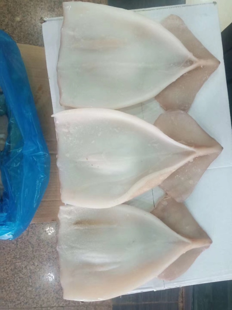 鱿鱼系列价格超低