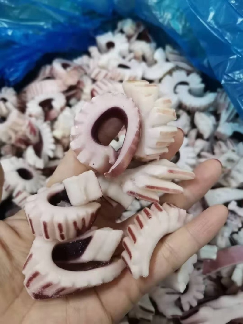 鱿鱼系列价格超低