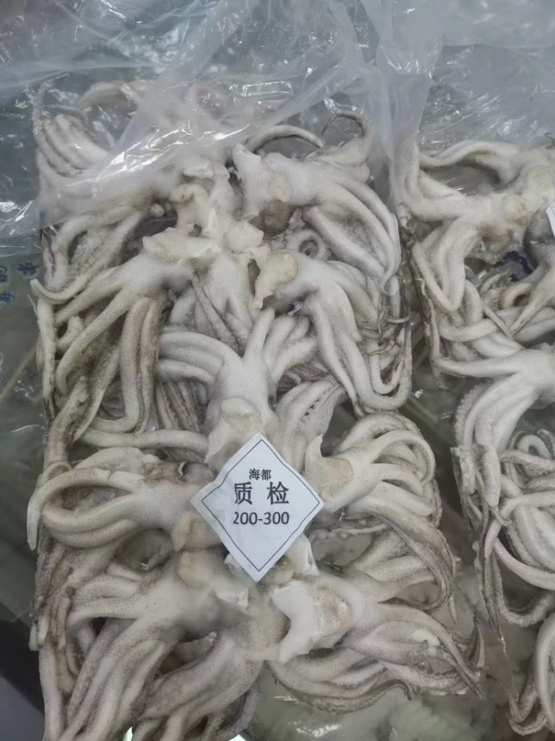 鱿鱼系列价格超低