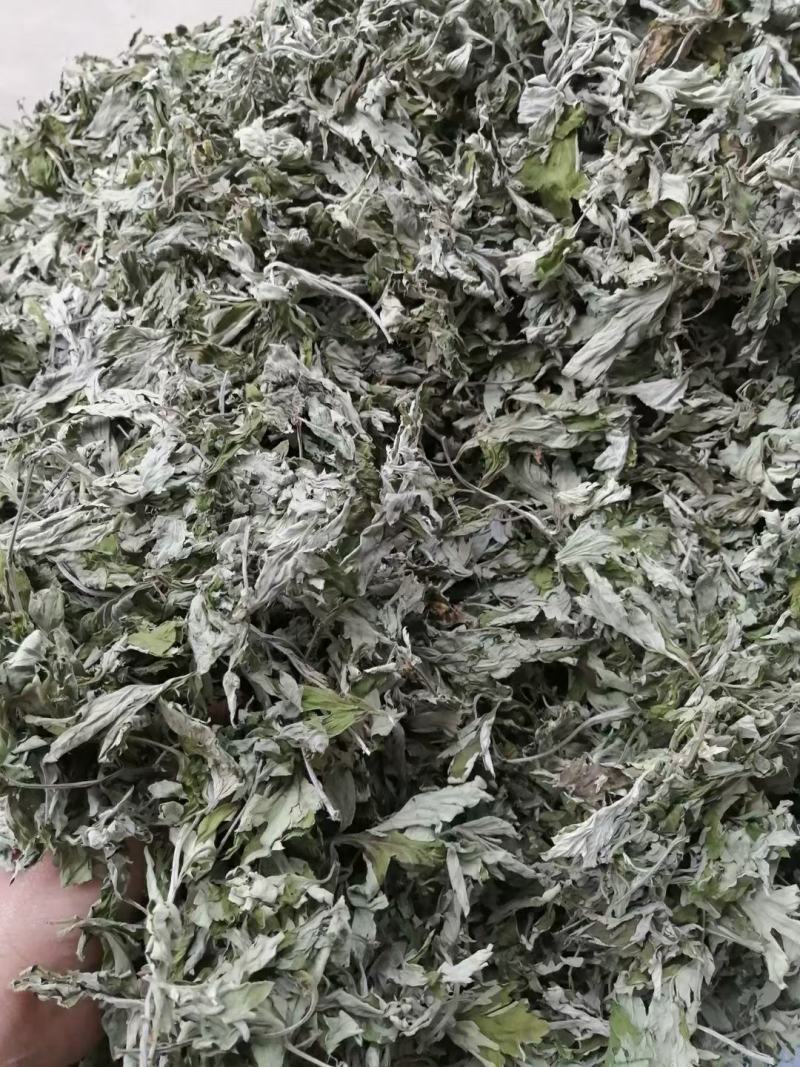 艾叶全科艾秦岭山货野生艾种植艾