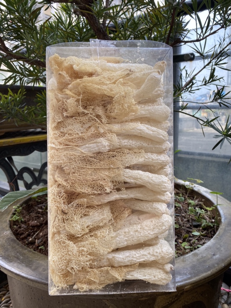 精品长裙竹荪，竹笙，竹荪网菇，竹荪把菇，精品礼盒