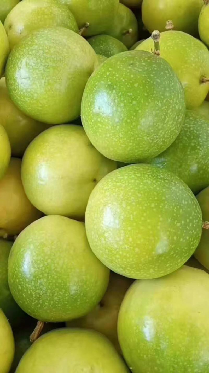 【优质商家】精品钦蜜黄金百香果现摘现发量大从优