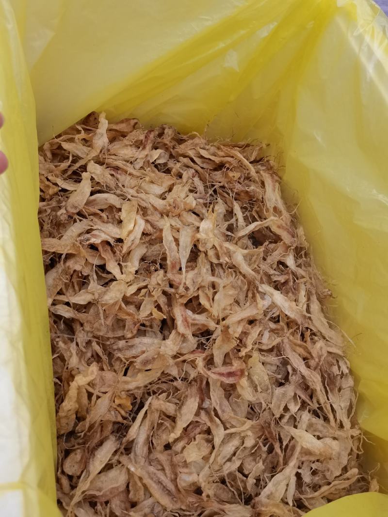 大黄鱼鱼胶