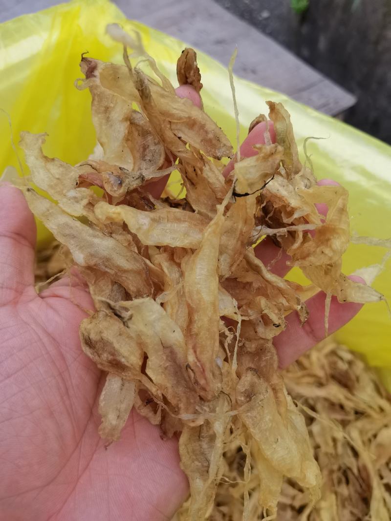 大黄鱼鱼胶