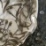 花白鲢鱼苗扁鱼改水底好帮手，好过用各种鱼药，又便宜