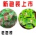 百草梨膏糖甘草冰含片颗粒包装梨膏糖热卖