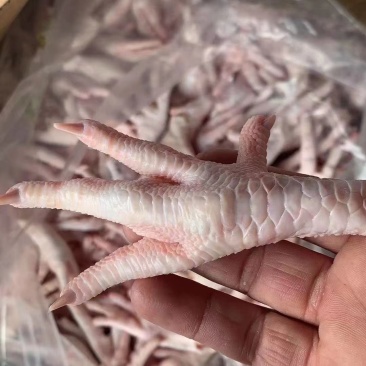冻鸡爪冻品鸡爪冷冻鸡爪冷冻凤爪国产冻品凤爪