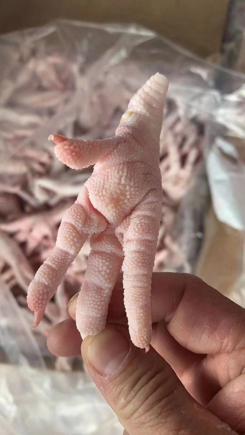 冻鸡爪冻品鸡爪冷冻鸡爪冷冻凤爪国产冻品凤爪