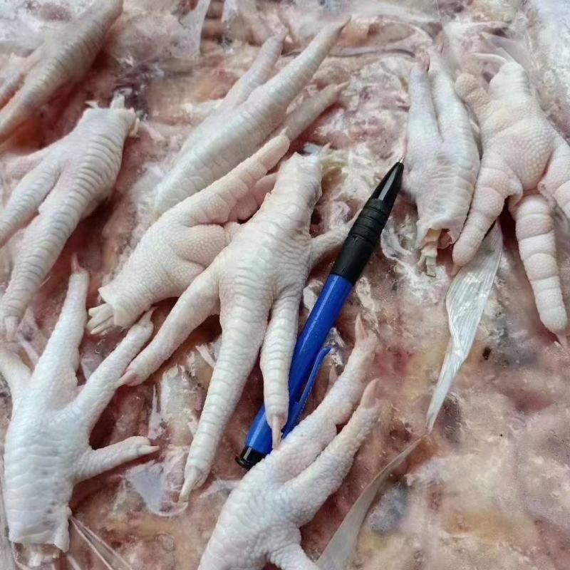 冻鸡爪冻品鸡爪冷冻鸡爪冷冻凤爪国产冻品凤爪