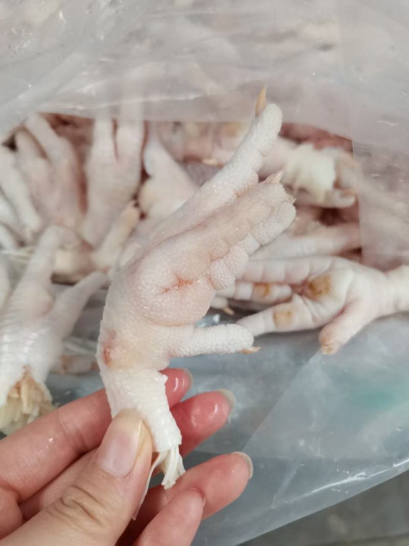 冻鸡爪冻品鸡爪冷冻鸡爪冷冻凤爪国产冻品凤爪