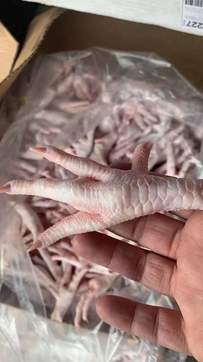 冻鸡爪冻品鸡爪冷冻鸡爪冷冻凤爪国产冻品凤爪