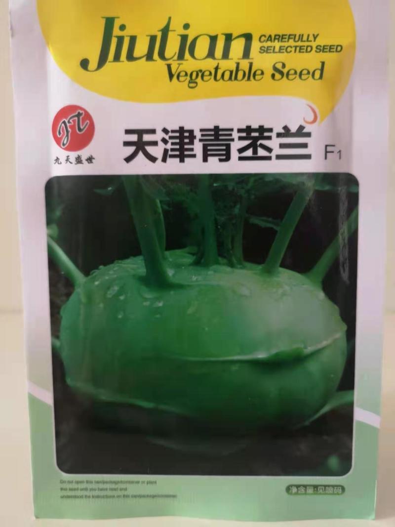 天津青苤蓝种子紫苤兰水果芥蓝芥兰头种籽孑大田四季秋季高产