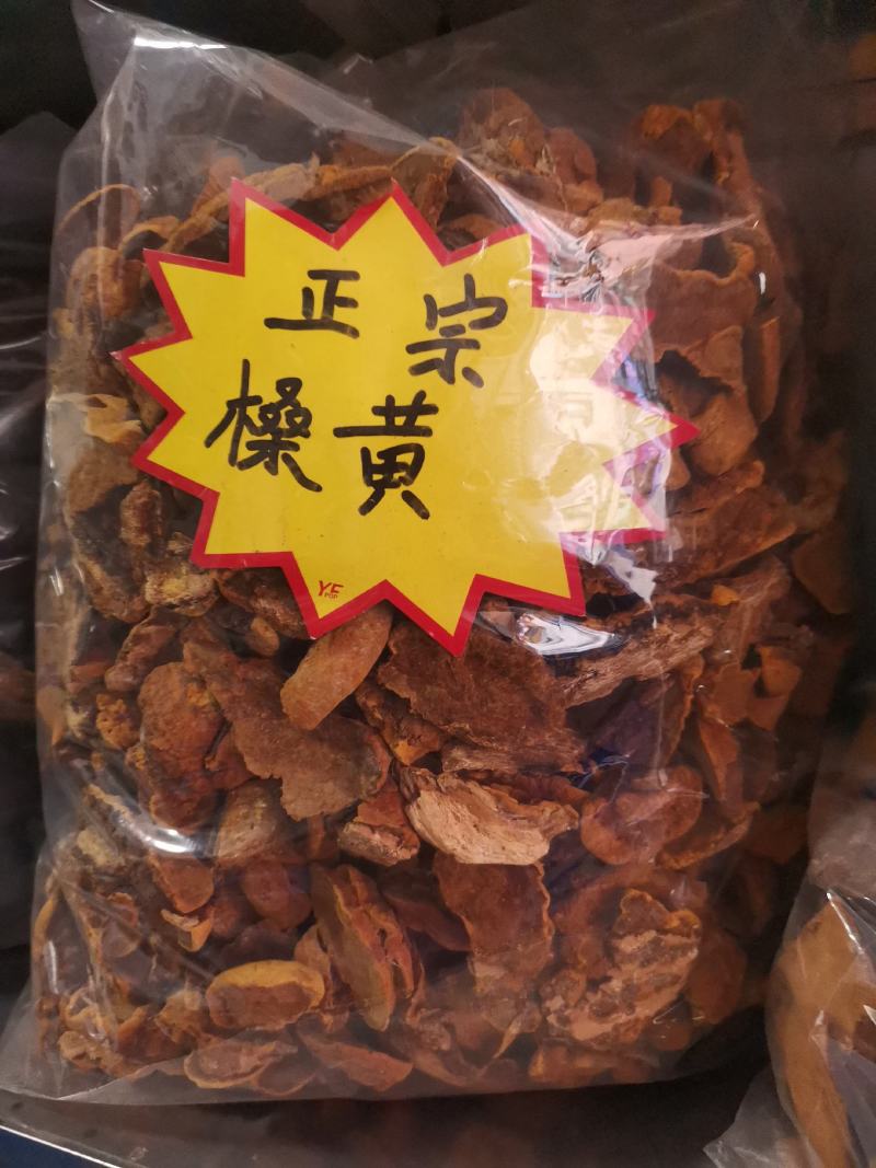 优质西藏桑黄高原山地规格齐全量大从优