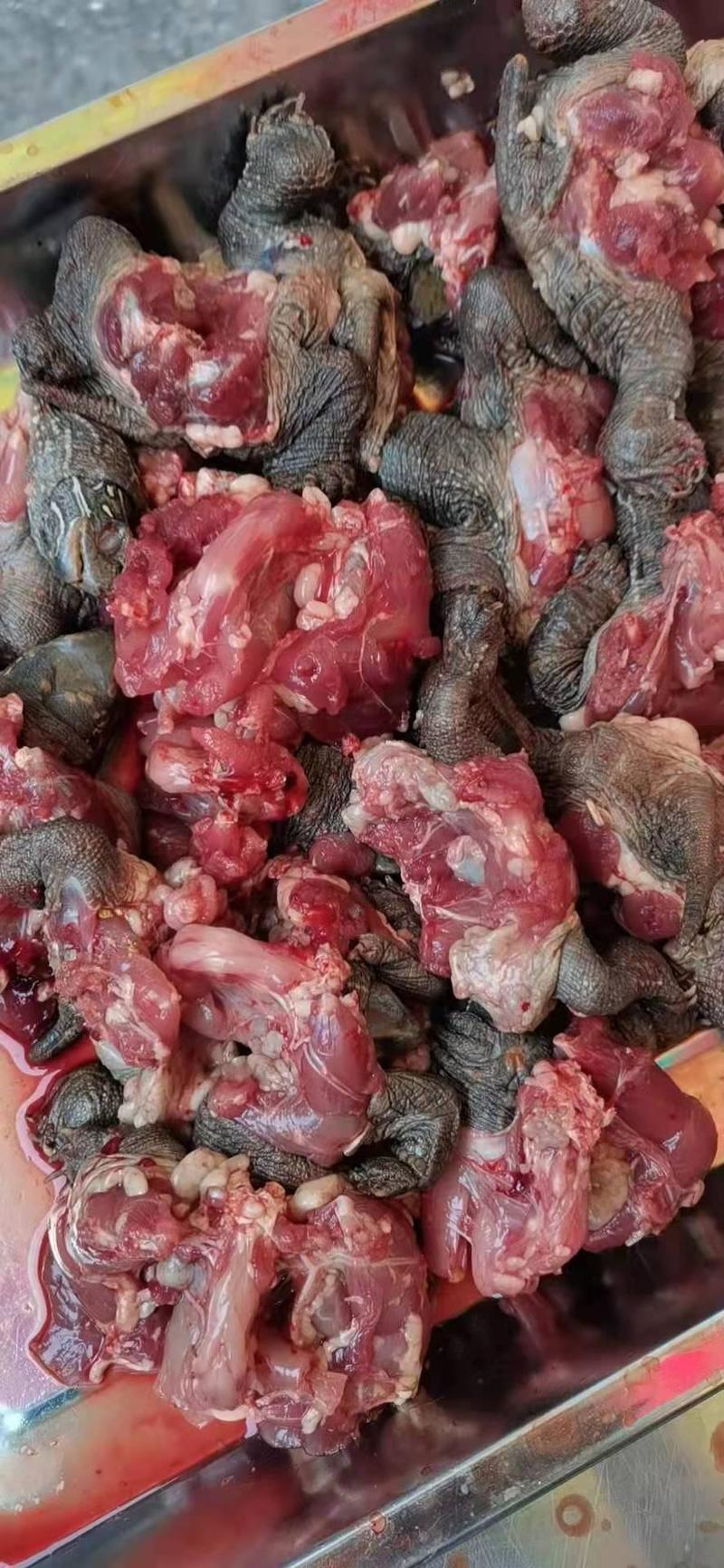 中华草龟肉，本厂长期供应乌龟肉，每日现杀，冰鲜发货