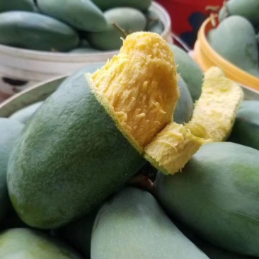 广西桂七中的爱马仕，百色田东正宗桂七香芒