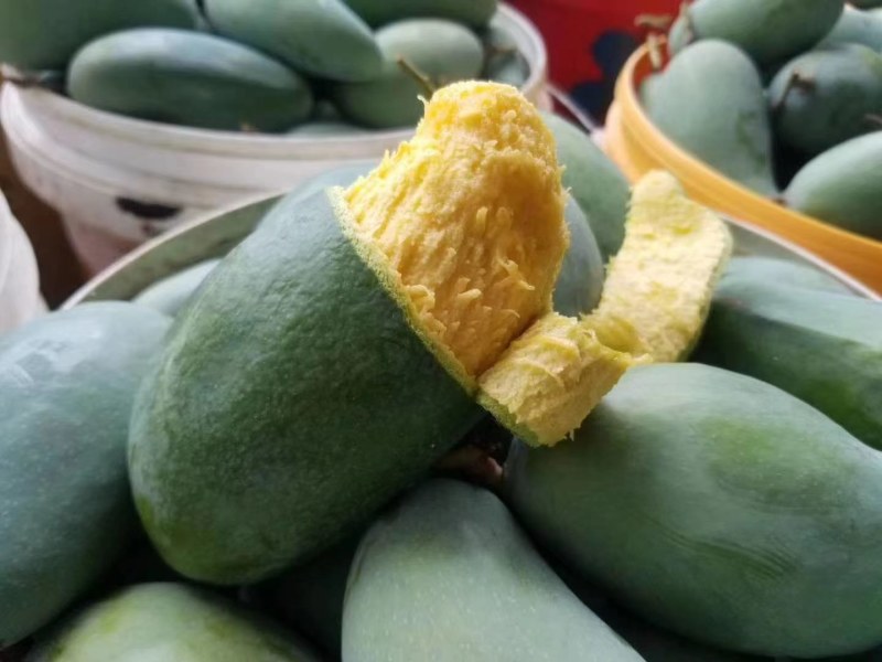 广西桂七中的爱马仕，百色田东正宗桂七香芒