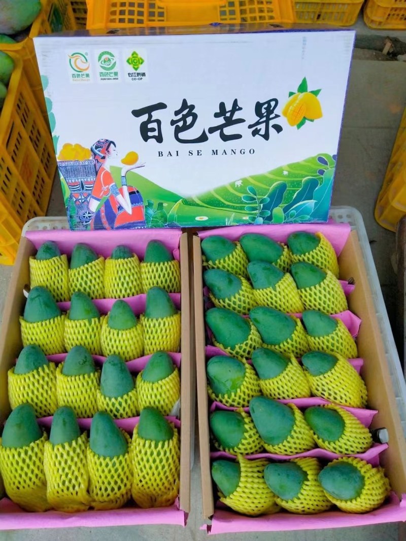广西桂七中的爱马仕，百色田东正宗桂七香芒