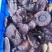 优质林下种植紫灵芝无粉量大从优规格齐全