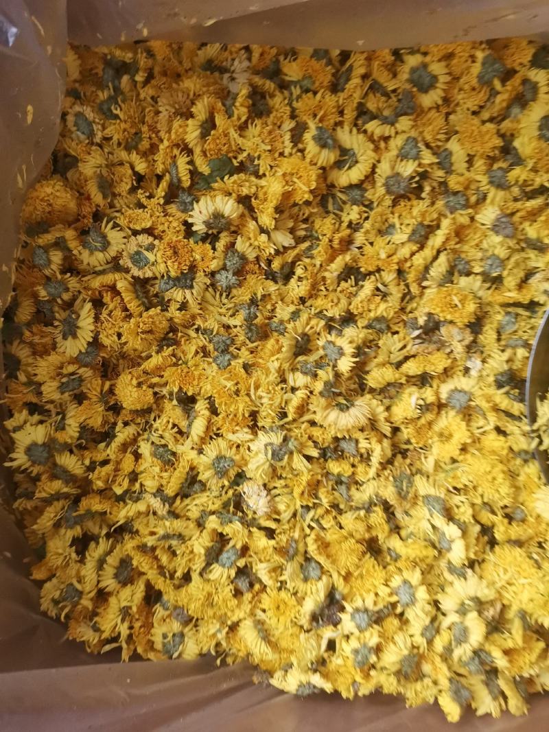 优质浙江杭白菊胎菊量大从优规格齐全欢迎选购