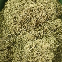 优质河南金银花山东金银花净货无杂规格齐全量大从优