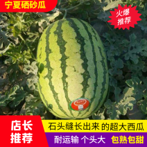 【推荐】宁夏西瓜金城5号西瓜耐运输8公斤打底可视频看货