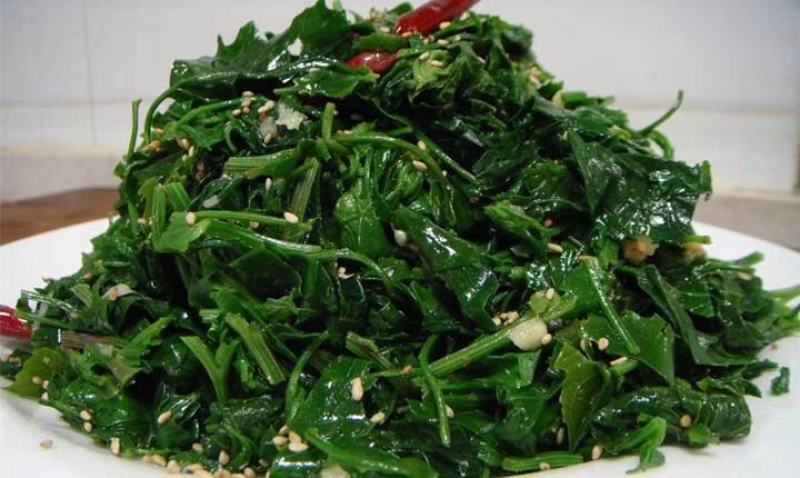 野菜特菜