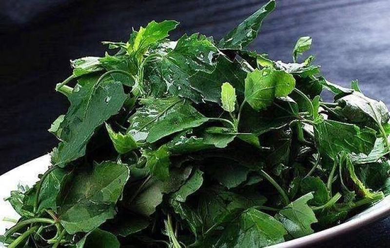野菜特菜