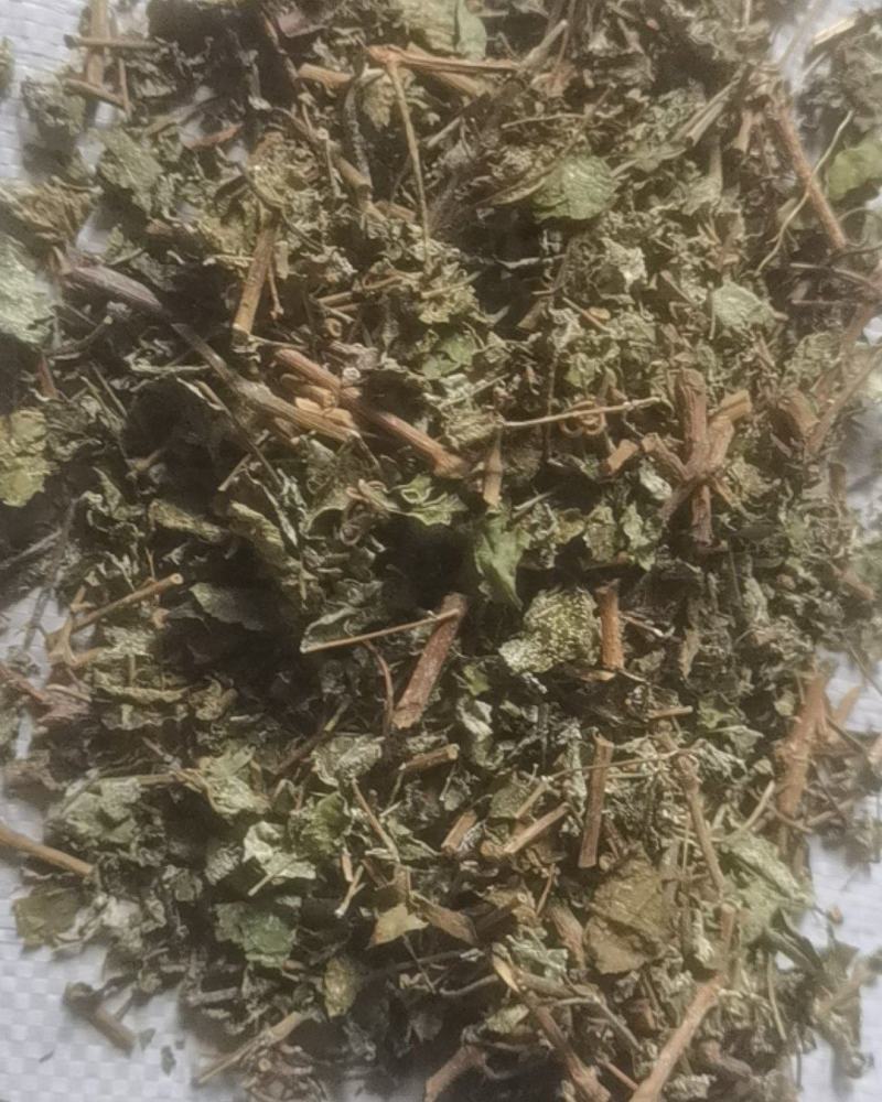 广东溪黄茶（白茶），野生品种，产地直供，量大从优