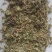 广东溪黄茶（白茶），野生品种，产地直供，量大从优
