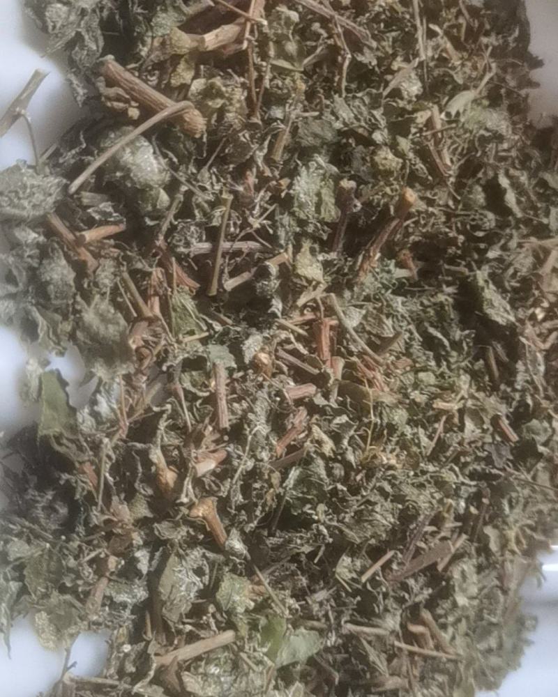 广东溪黄茶（白茶），野生品种，产地直供，量大从优
