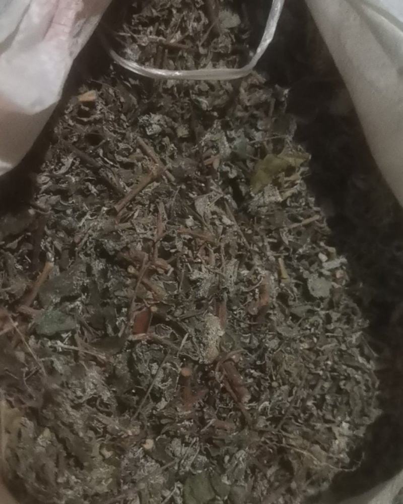 广东溪黄茶（白茶），野生品种，产地直供，量大从优