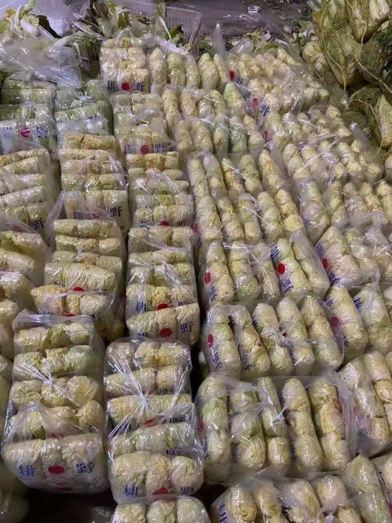 娃娃菜，河北娃娃菜大量上市，产地供销发往全国