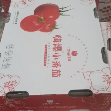 嗨爆小番茄