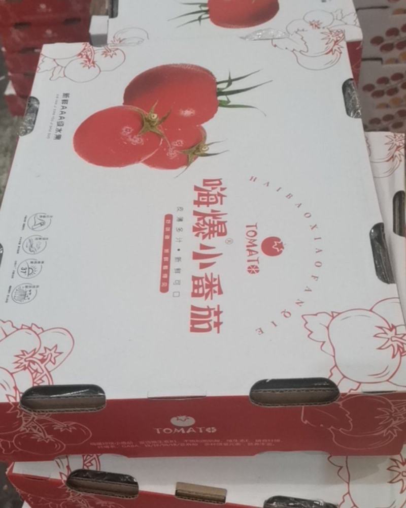 嗨爆小番茄