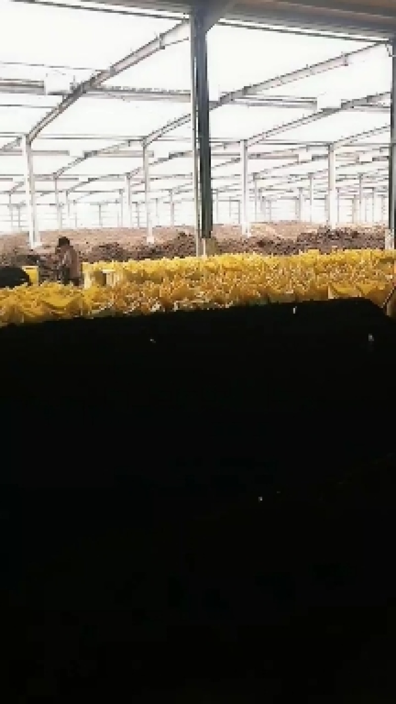 养殖场自产自销发酵羊粪有机肥，提供有机认证