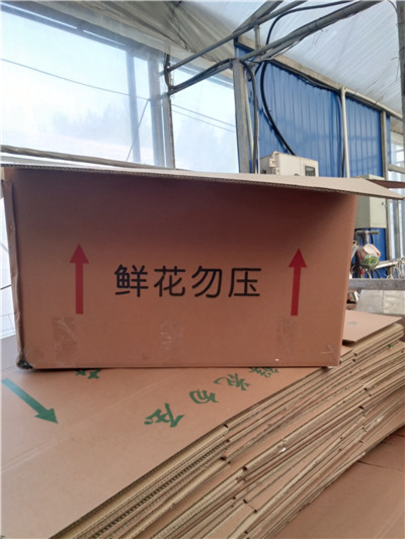 绣球花，八仙花，规格多，品种多，花色多，大量有货