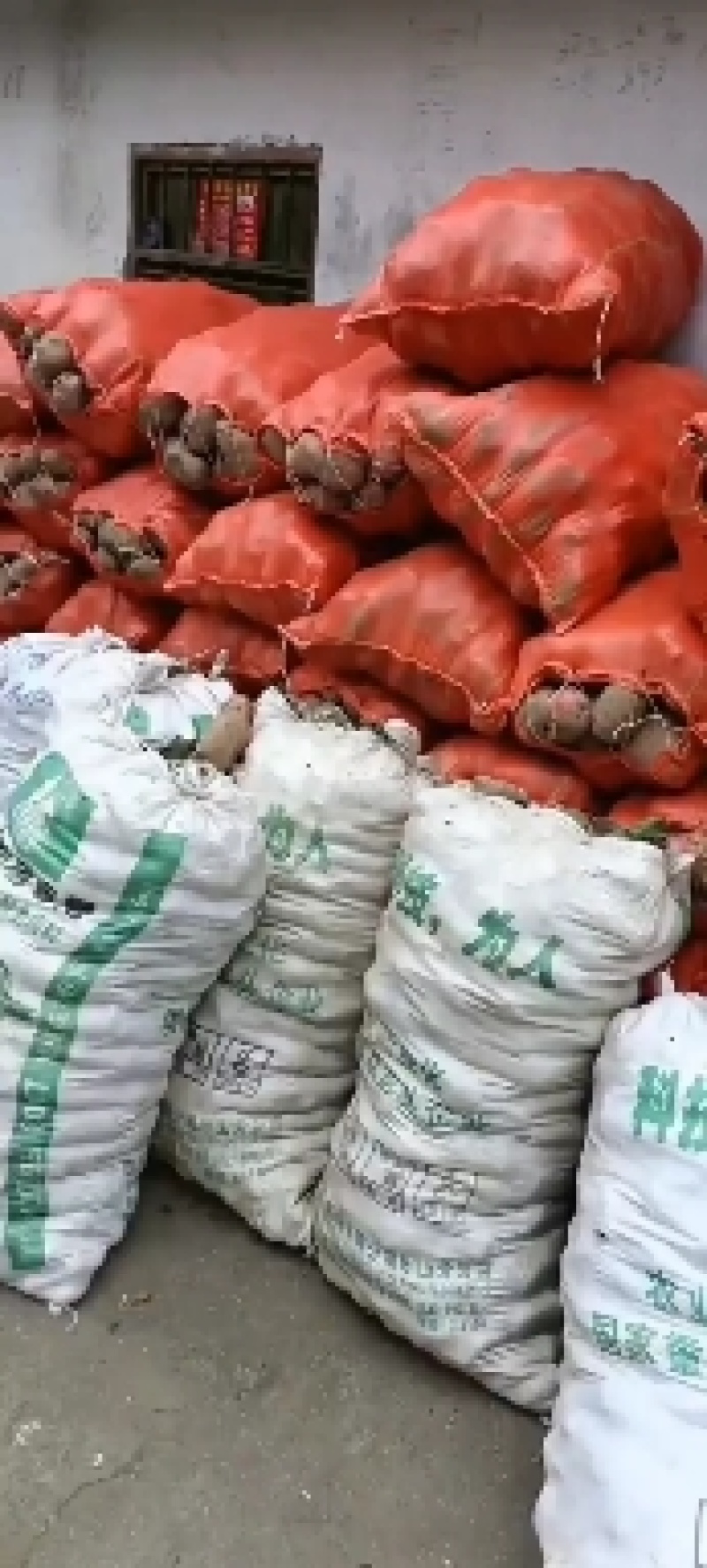 高山土豆农户生产。帮代收。需要的联系我