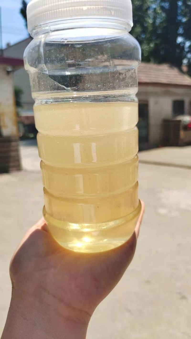 高浓度精品洋槐蜜槐花蜜自有蜂场直供桶装批发