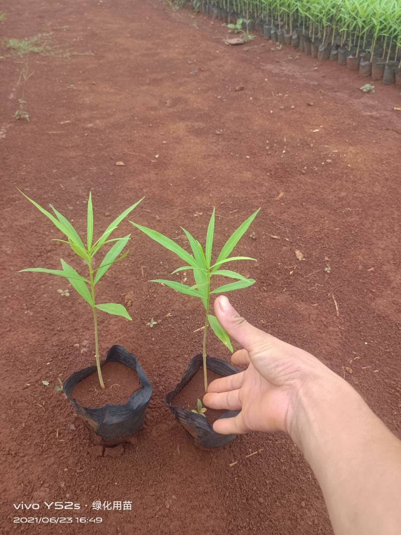 大量出售