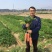 原装进口高档产品，日本龙井瑞丽红红萝卜种子