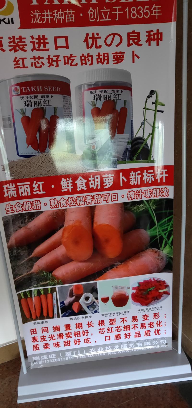原装进口高档产品，日本龙井瑞丽红红萝卜种子