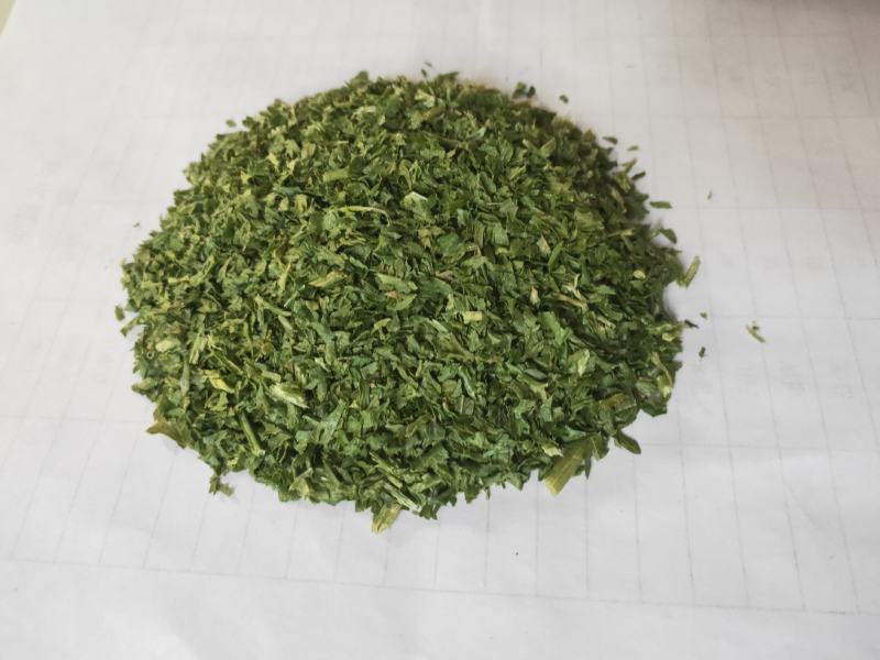 【脱水蔬菜】脱水芹菜，欧洲芹菜