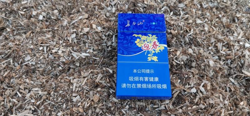杨木锯末