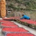 秦岭野生山茱萸肉精选无核茱萸枣皮无硫中药材泡酒泡茶正品包