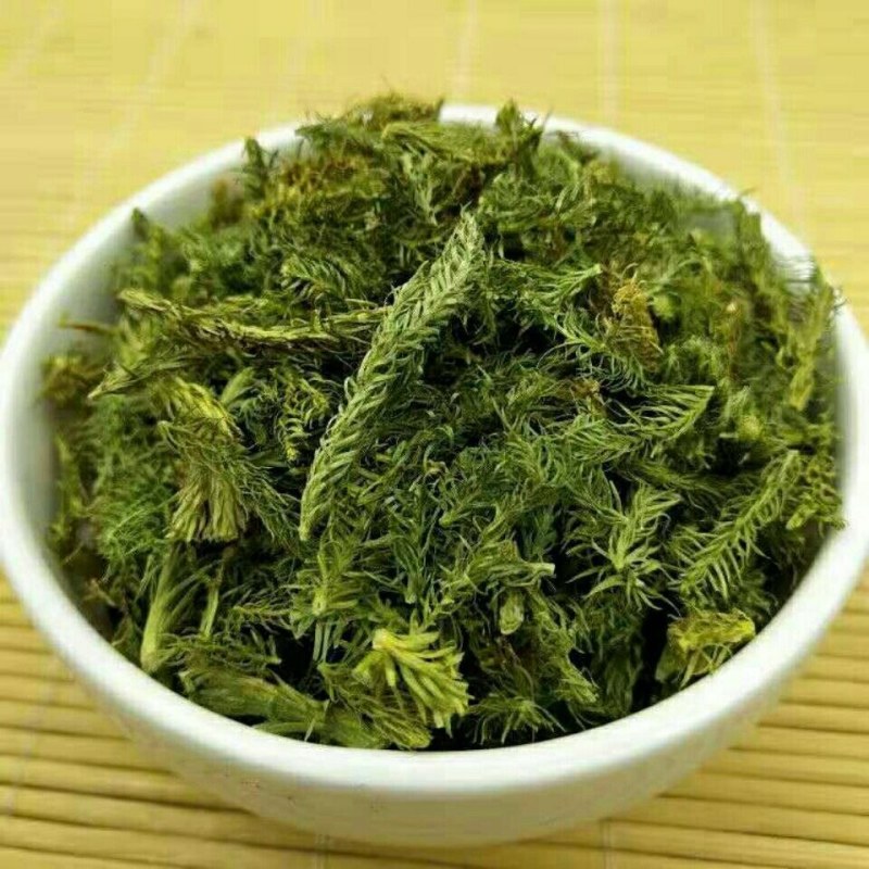 云南野生中药材伸筋草筋骨草舒筋草石松狮子50